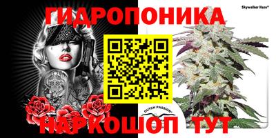 каннабис Кингисепп