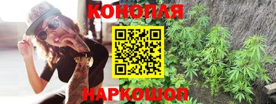 гашик Кинель