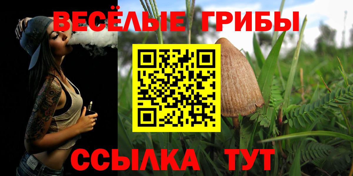 Галлюциногенные грибы Psilocybe Королёв